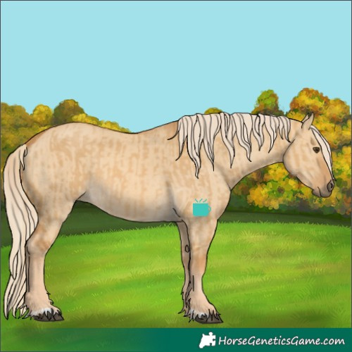 Horse Color:Palomino Dun  and Palomino Dun 
