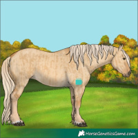 Horse Color:Palomino Dun  and Palomino Dun 