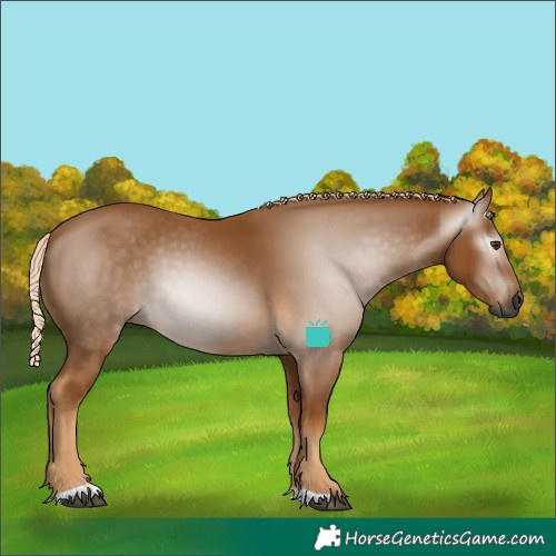 Horse Color:Gray Palomino 