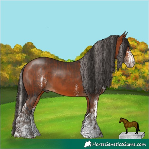 Horse Color:Silver Bay and Bay Sabino