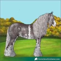 Horse Color:Chocolate Silver Buckskin Chinchilla Ice Sabino