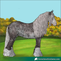 Horse Color:Chocolate Silver Classic Cream Champagne Chinchilla Ice 