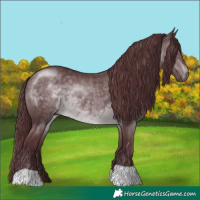 Horse Color:Chocolate Brown Chinchilla 