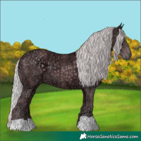Horse Color:Chocolate Silver Black Chinchilla Ice