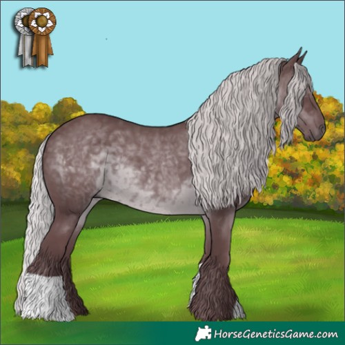 Horse Color:Chocolate Silver Black Chinchilla 