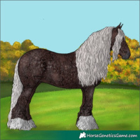 Horse Color:Chocolate Silver Smoky Black Chinchilla Ice 