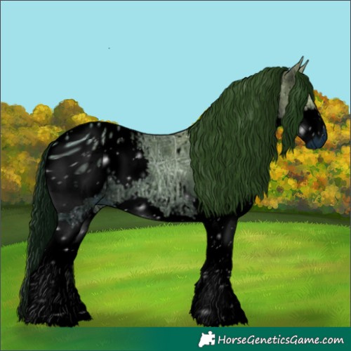 Horse Color:ERROR: UNKNOWN ANOMALY