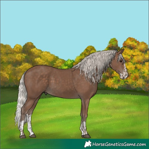 Horse Color:Silver Black  and Silver Black Splash 