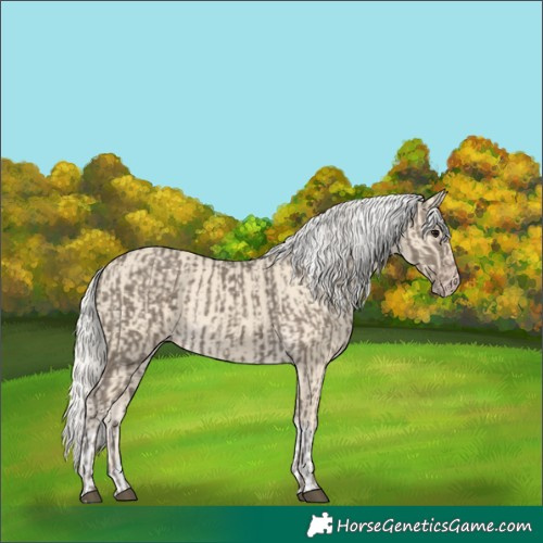 Horse Color:Silver Smoky Black  and Silver Classic Cream Champagne 
