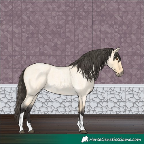 Horse Color:Buckskin Roan Dun Tobiano 