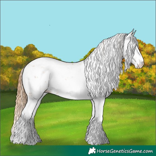 Horse Color:Chestnut Sabino 