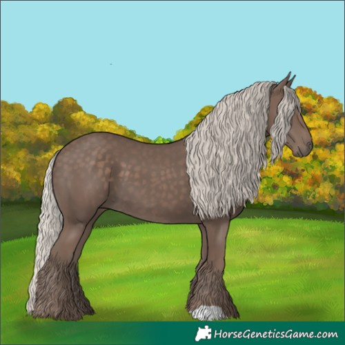 Horse Color:Silver Black 