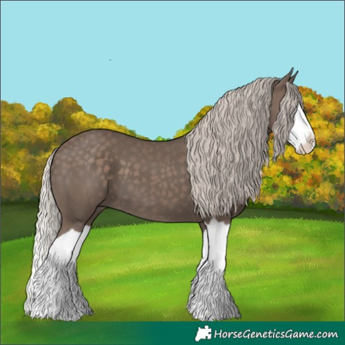 Horse Color:Silver Black Splash 
