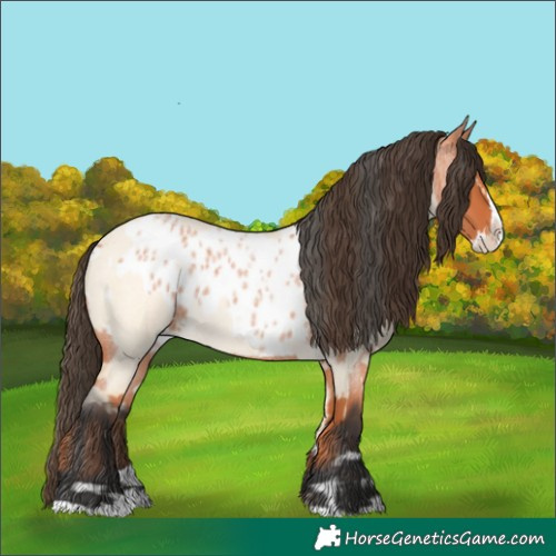 Horse Color:Buckskin Roan Dun Splash  and Bay Roan Splash Near Leopard 