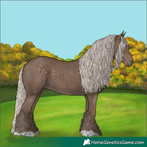 Horse Color:Silver Black 