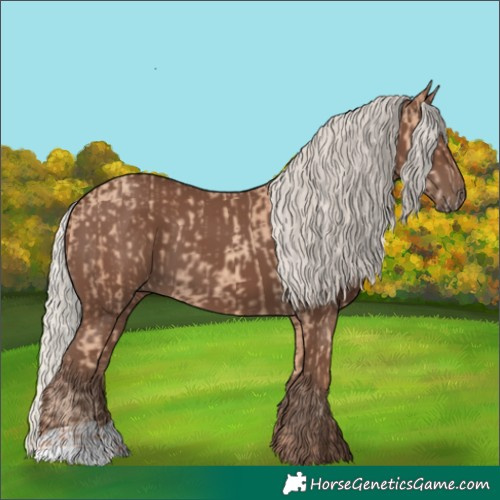 Horse Color:Silver Classic Champagne and Silver Black
