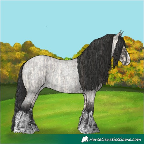 Horse Color:Buckskin Roan Dun Splash and Grullo Roan Splash