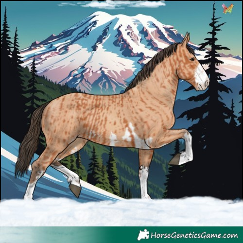 Horse Color:Bay and Amber Champagne