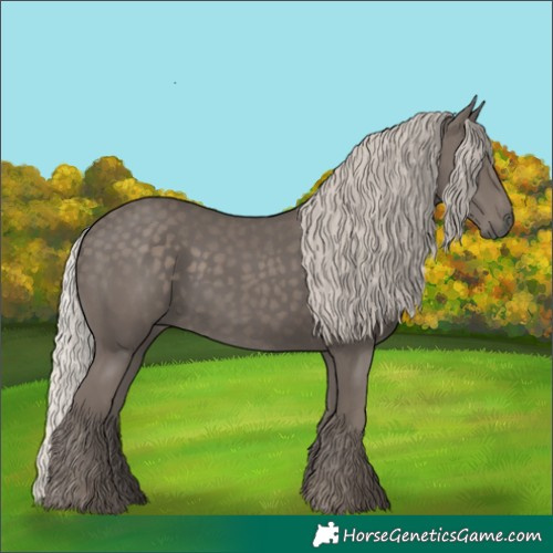 Horse Color:Silver Black