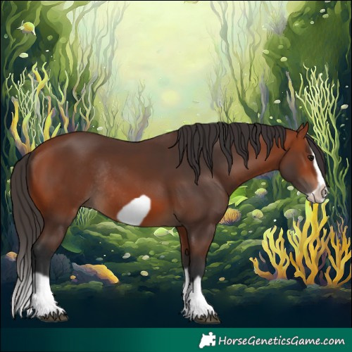 Horse Color:Bay Splash Frame Rabicano 