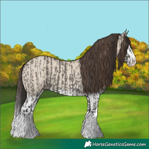 Horse Color:Grullo Sabino Splash and Classic Champagne Dun Sabino Splash