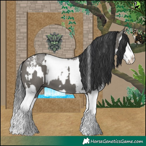 Horse Color:Grullo Sabino Splash and Grullo Sabino Splash