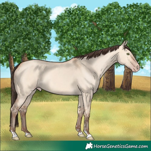 Horse Color:Amber Champagne Dun 