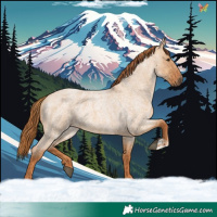 Horse Color:Red Dun Roan and Red Dun Roan