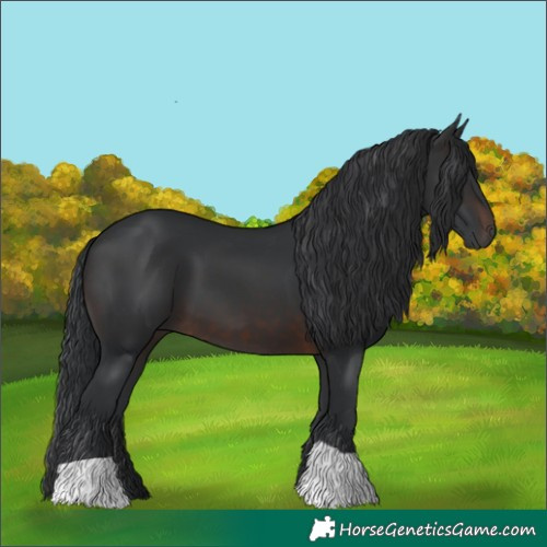 Horse Color:Brown 