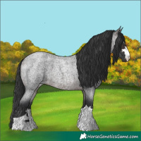 Horse Color:Brown Roan