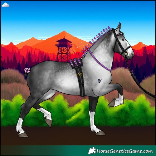 Horse Color:Gray Black