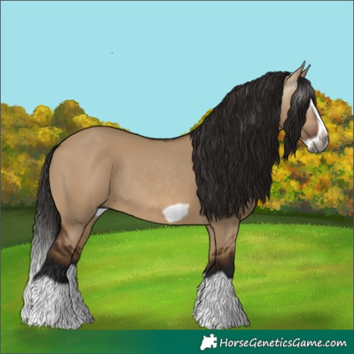 Horse Color:Gray Bay Dun Splash Frame Rabicano 