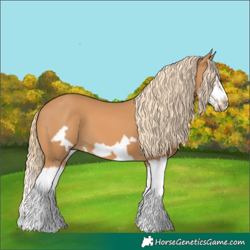Horse Color:Chestnut Splash Frame