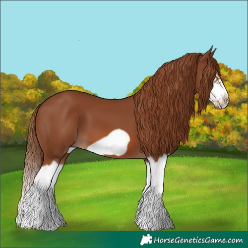 Horse Color:Chestnut Splash Frame 
