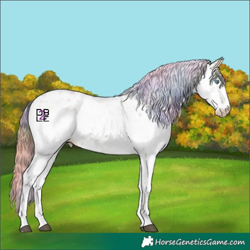 Horse Color:Nacre Brown Pearl Sabino 
