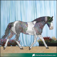 Horse Color:Nacre Brown Sabino Splash Tobiano