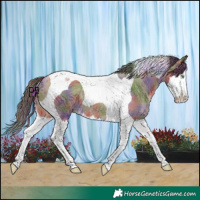 Horse Color:Nacre Amber Champagne Splash Tobiano