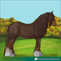 Horse Color:Gray Chestnut and Gray Chestnut Tobiano