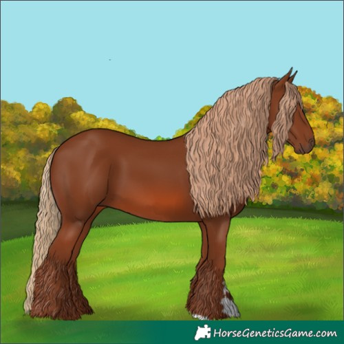 Horse Color:Chestnut 