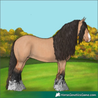 Horse Color:Bay Dun  and Bay Dun 
