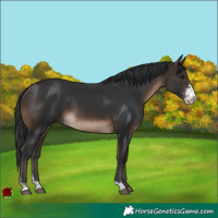 Horse Color:Brown Sabino