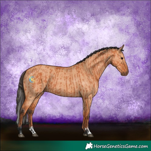 Horse Color:Bay and Bay Dun