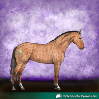 Horse Color:Bay  and Bay Dun 