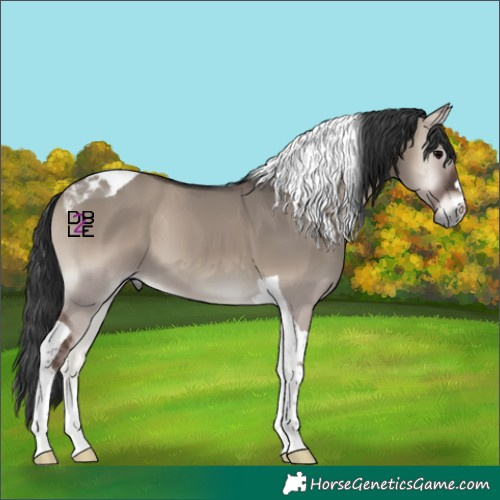 Horse Color:Grullo Onyx Tobiano 