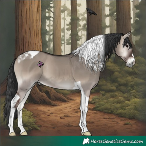 Horse Color:Blue Onyx Tobiano 