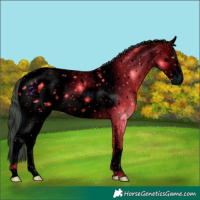 Horse Color:ERROR: UNKNOWN ANOMALY