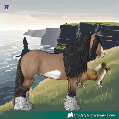 Horse Color:Bay Dun Splash Frame Rabicano
