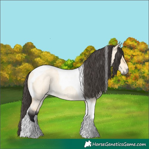 Horse Color:Buckskin Roan Dun Tobiano 