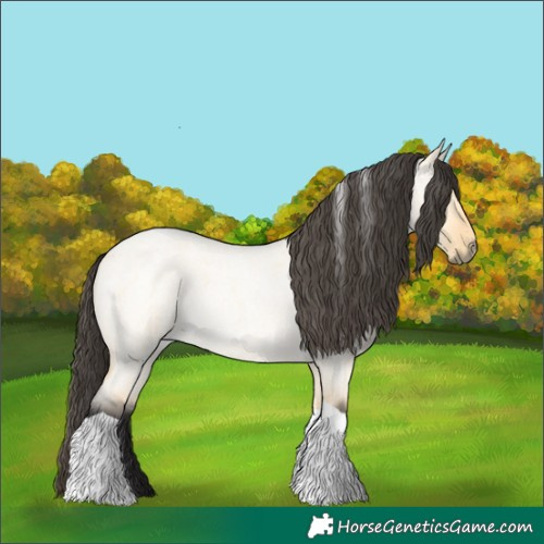 Horse Color:Buckskin Roan Dun Tobiano 