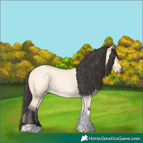 Horse Color:Buckskin Roan Dun Tobiano 